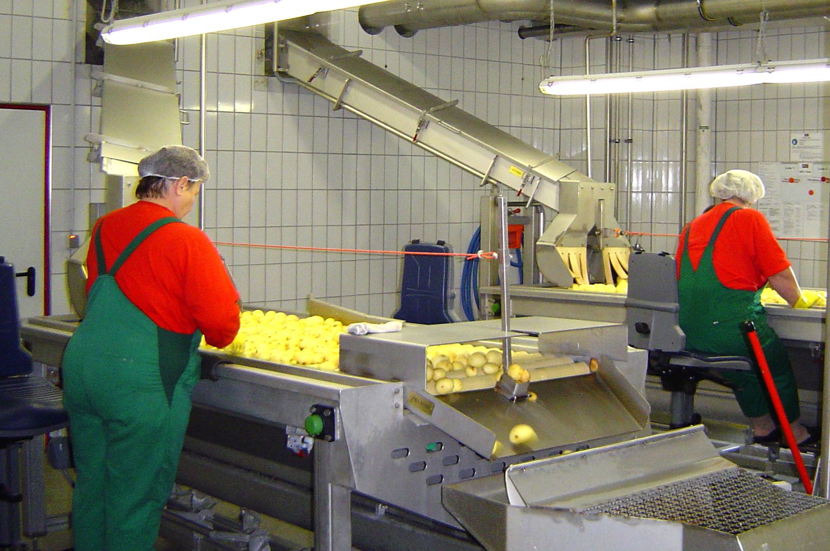 Sorting room, roller table